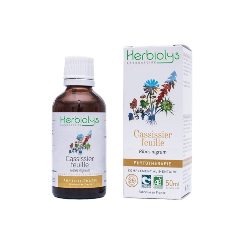 Cassissier feuille Phytothérapie 50ml – Drainage, Articulations, Allergies – extraits de plantes fraîches Herbiolys Finistère