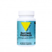 Enzymes végétales 30gél