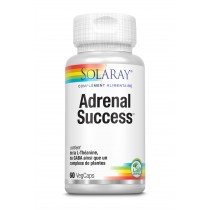 Adrenal Success, complexe de plantes et de principes actifs destinés à recharger les surrénales.