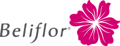 logo_Beliflor.png