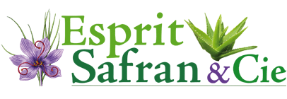 Logo de la marque Esprit Safran & Cie