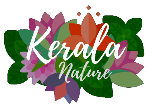 Logo-Kerala.png